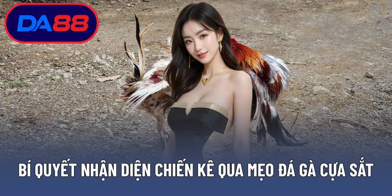 Bí quyết nhận diện chiến kê qua mẹo đá gà cựa sắt chuẩn xác