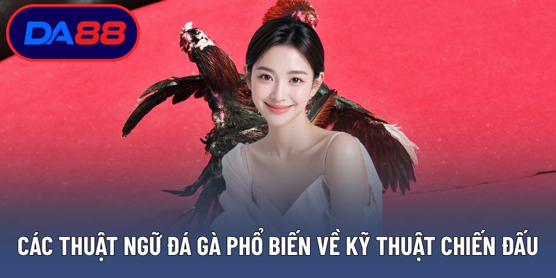 Các thuật ngữ đá gà phổ biến về kỹ thuật chiến đấu