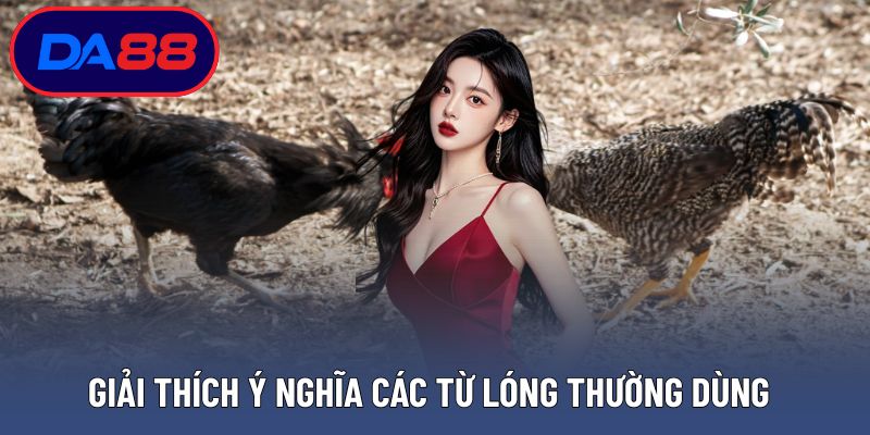 Giải thích ý nghĩa các từ lóng thường dùng ở sới gà