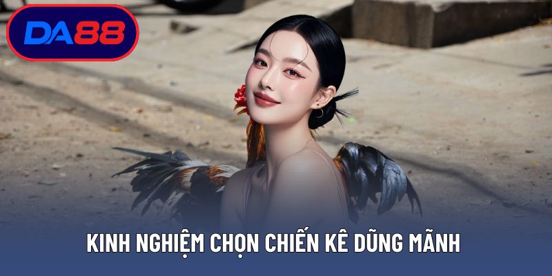 Kinh nghiệm chọn chiến kê dũng mãnh và mẹo đá gà cựa dao