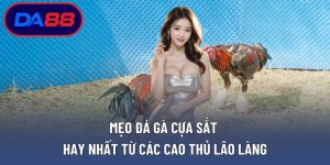 Mẹo Đá Gà Cựa Sắt