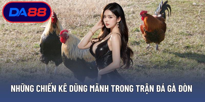 Những chiến kê dũng mãnh trong trận đá gà đòn truyền thống
