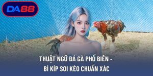 Thuật Ngữ Đá Gà Phổ Biến
