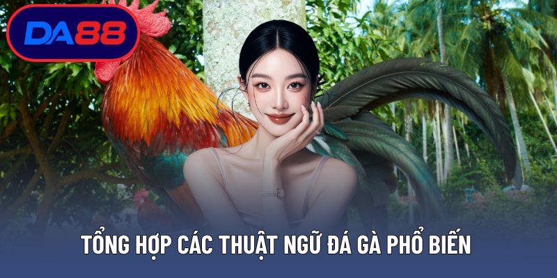 Tổng hợp các thuật ngữ đá gà phổ biến về kèo chấp